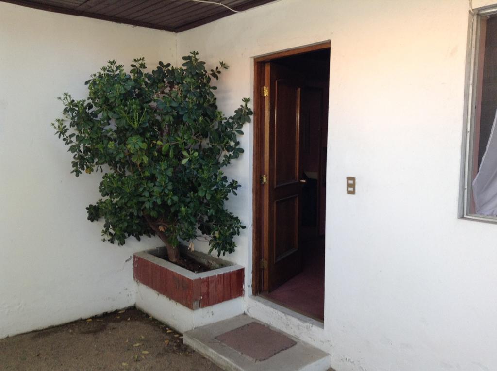Hotel Alicante チジャン エクステリア 写真